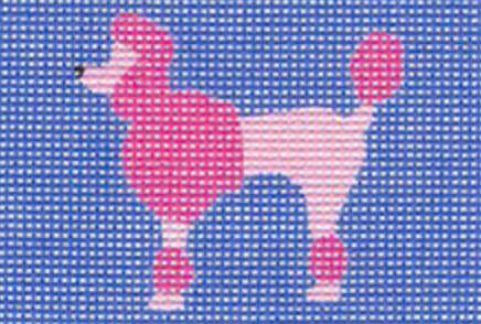 Poodle on Blue Background