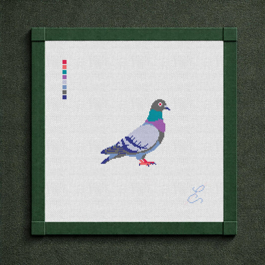 Pigeon Canvas