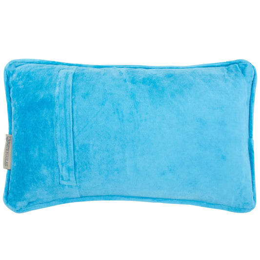 Don't Be A Dick Pillow