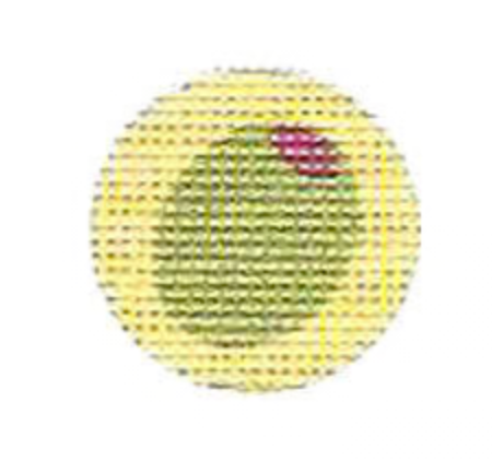 FOB Canvas - Olive