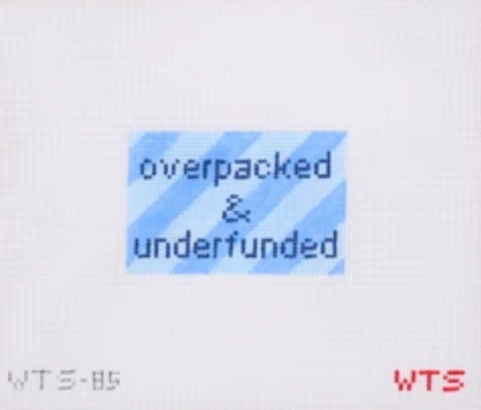 Overpacked and Underfunded Luggage Tag