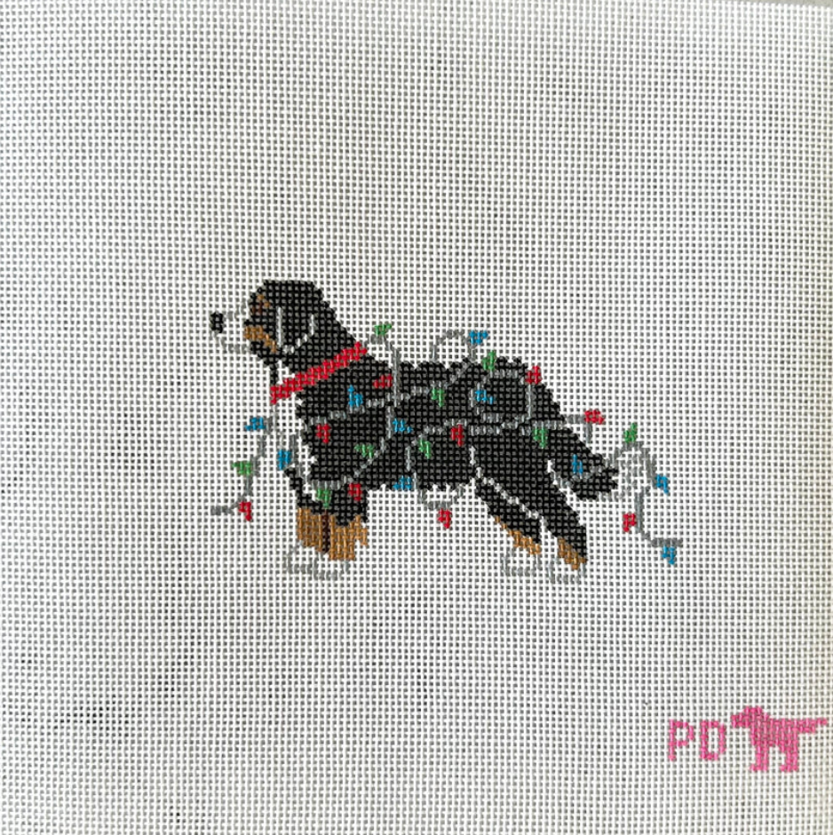 Christmas Lights Bernese