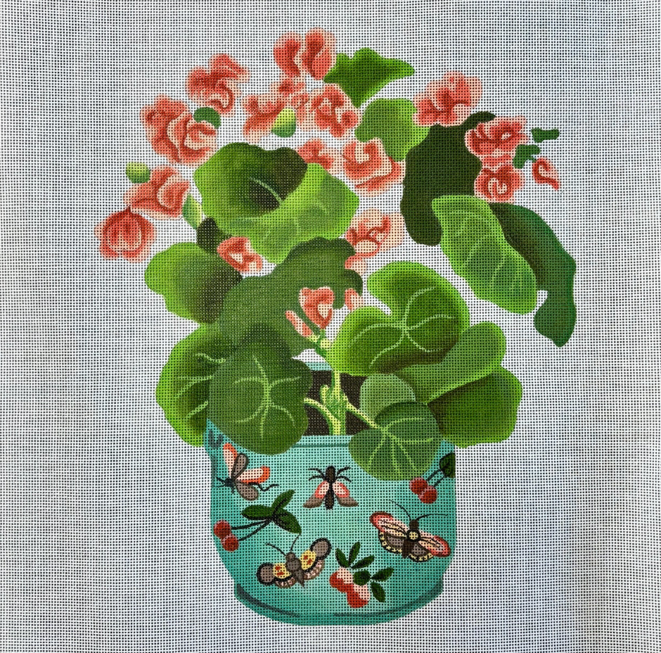 Begonia