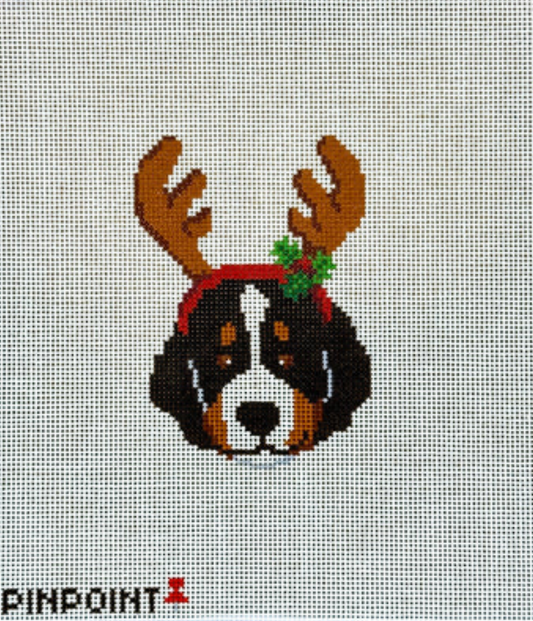 Reindeer Buddy - Bern