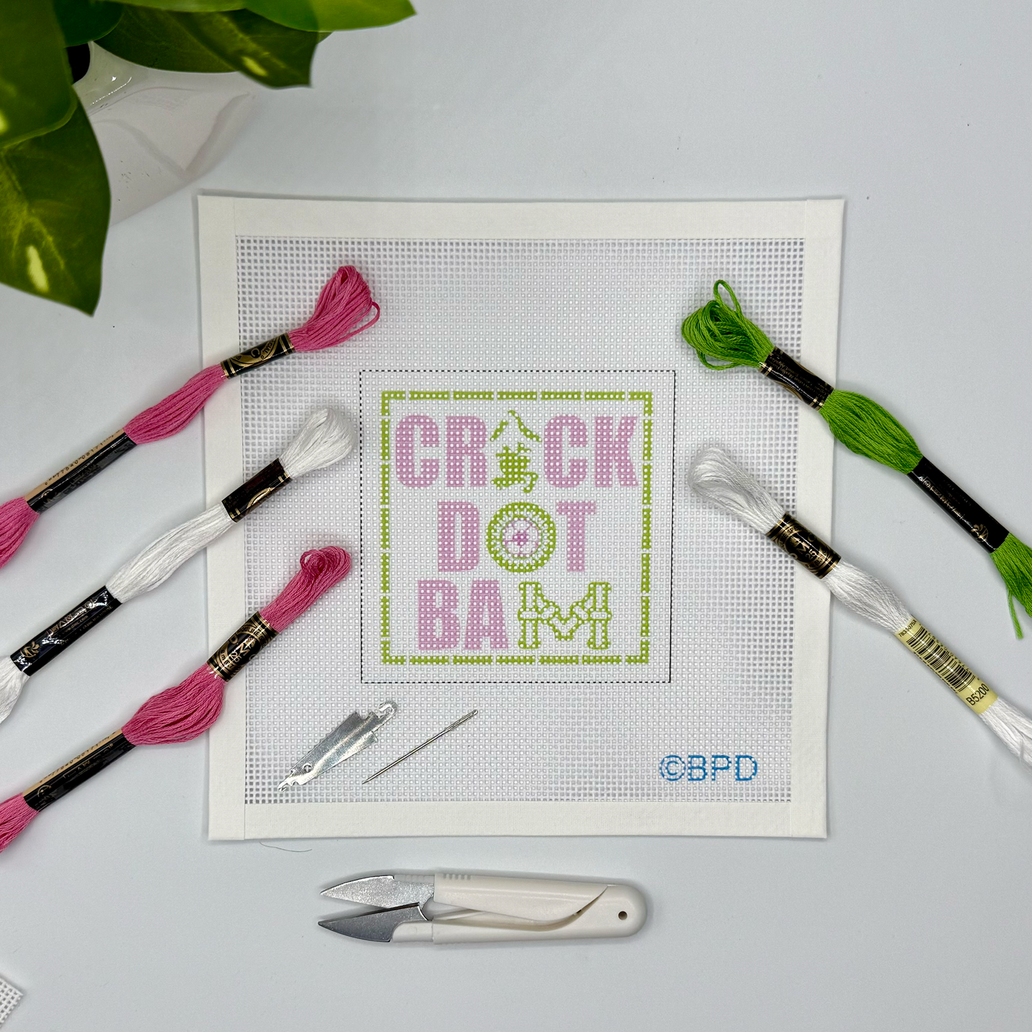Crack Dot Bam Needlepoint Kit